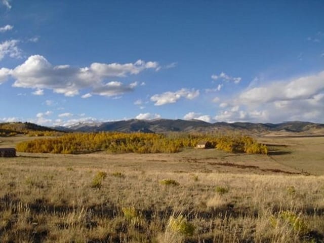 1327 Michigan Hill Rd, Jefferson, CO 80456