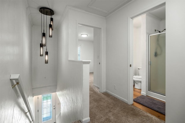 3100 Chinook Ln Unit 6, Steamboat Springs, CO 80487 - hallway with carpet, ornamental molding, and baseboards