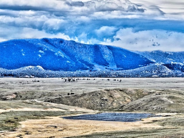 238 Ramrod Path, Como, CO 80432