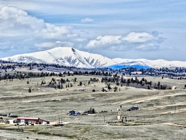 238 Ramrod Path, Como, CO 80432