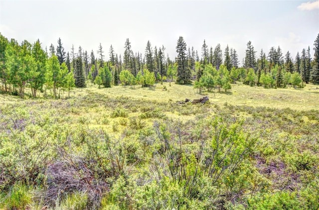 446 Chief Trl, Como, CO 80432 - view of undeveloped land