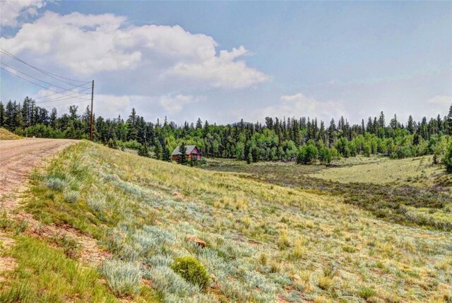 446 Chief Trl, Como, CO 80432 - view of tree filled area featuring a rural view