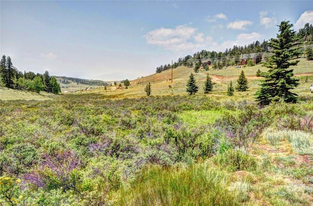 446 Chief Trl, Como, CO 80432 - view of undeveloped land featuring rural landscape