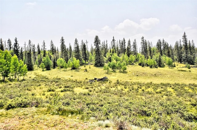446 Chief Trl, Como, CO 80432 - view of undeveloped land