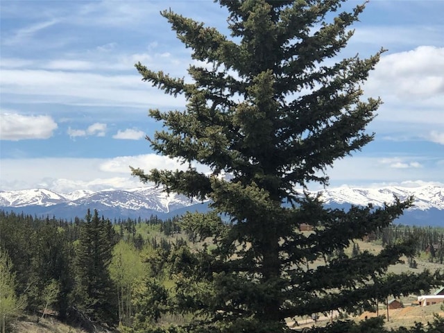 446 Chief Trl, Como, CO 80432 - view of mountain backdrop featuring a forest