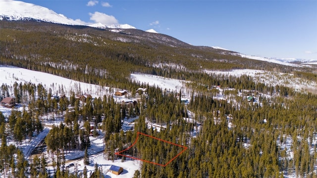 282 Slalom Dr, Breckenridge, CO 80424