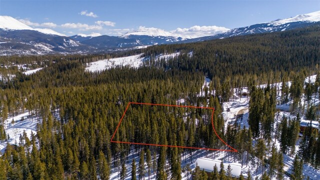 282 Slalom Dr, Breckenridge, CO 80424