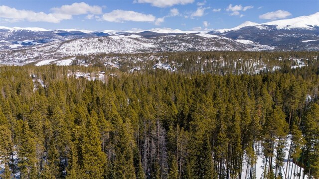 282 Slalom Dr, Breckenridge, CO 80424