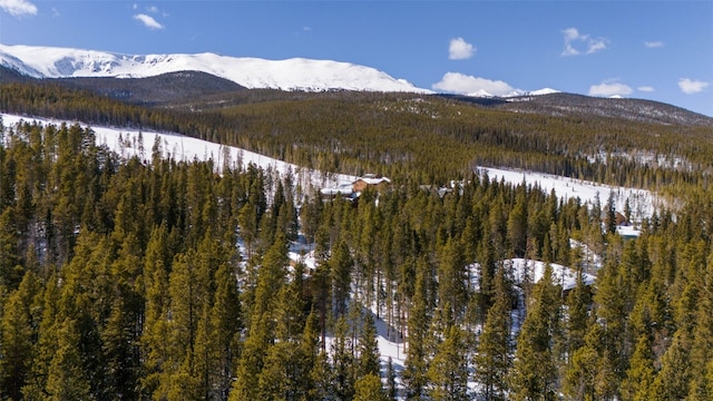 282 Slalom Dr, Breckenridge, CO 80424