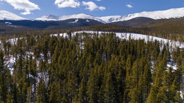 282 Slalom Dr, Breckenridge, CO 80424