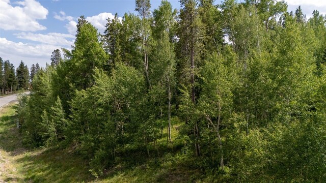 190 Easy Bend Trl, Silverthorne, CO 80498 - photo 3