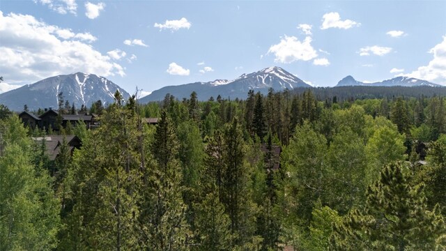 190 Easy Bend Trl, Silverthorne, CO 80498 - photo 4