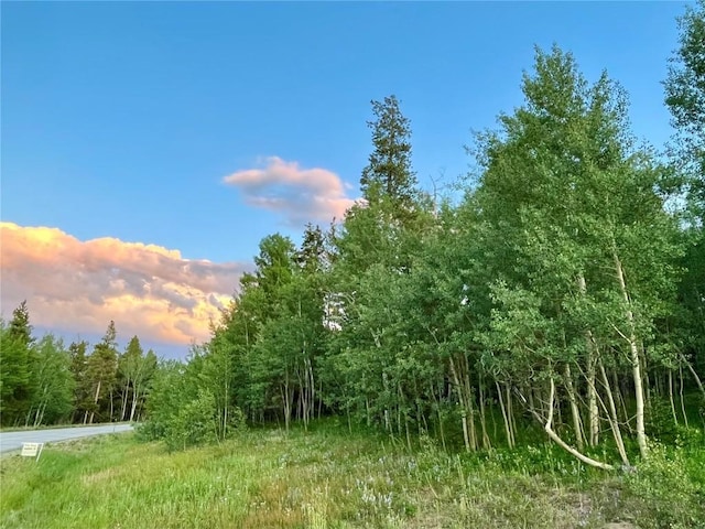 190 Easy Bend Trl, Silverthorne, CO 80498 - photo 1