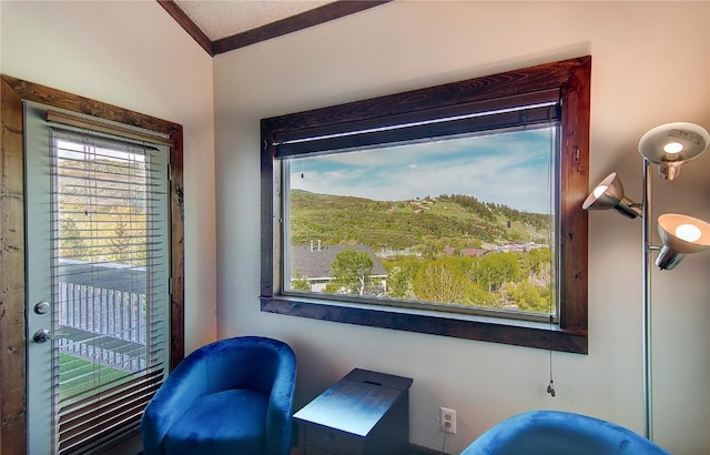 350 Old Fish Creek Falls Rd Unit 350, Steamboat Springs, CO 80487 - living area featuring ornamental molding