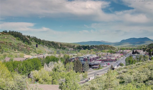 350 Old Fish Creek Falls Rd Unit 350, Steamboat Springs, CO 80487 - view of mountain background