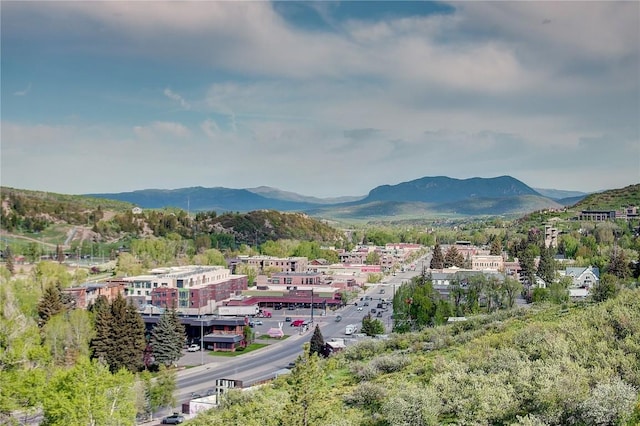 350 Old Fish Creek Falls Rd Unit 350, Steamboat Springs, CO 80487 - mountain view