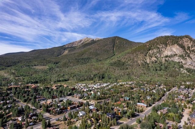 510 Pitkin St Unit C4, Frisco, CO 80443 - photo 38