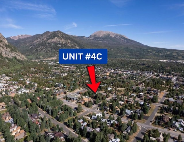 510 Pitkin St Unit C4, Frisco, CO 80443 - photo 40