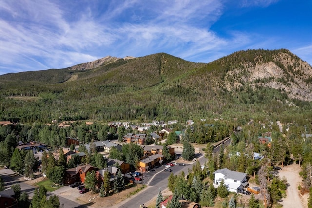 510 Pitkin St Unit C4, Frisco, CO 80443 - photo 35