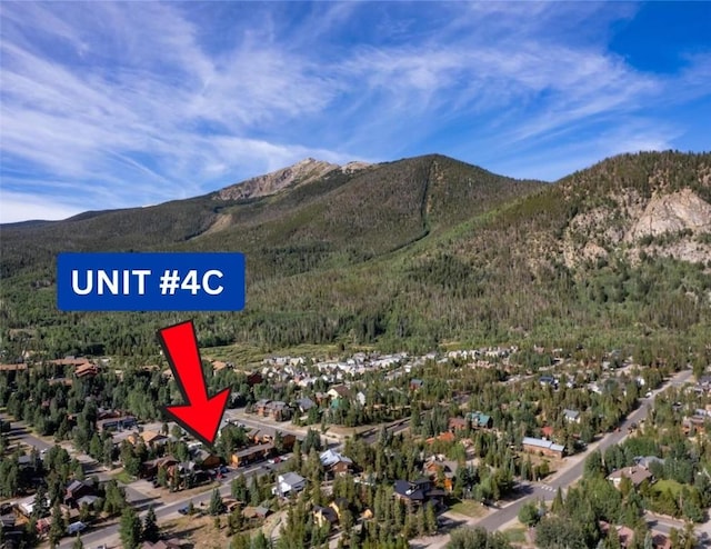 510 Pitkin St Unit C4, Frisco, CO 80443 - photo 39