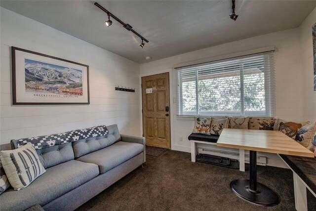 110 Sawmill Rd Unit 6B, Breckenridge, CO 80424 - living room with track lighting and dark carpet