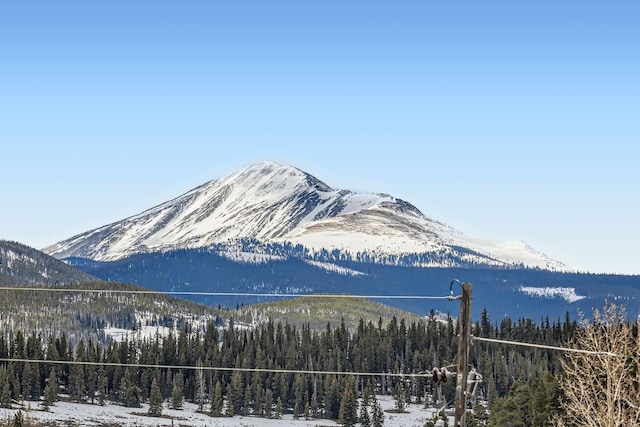 property view of mountains featuring a forest view