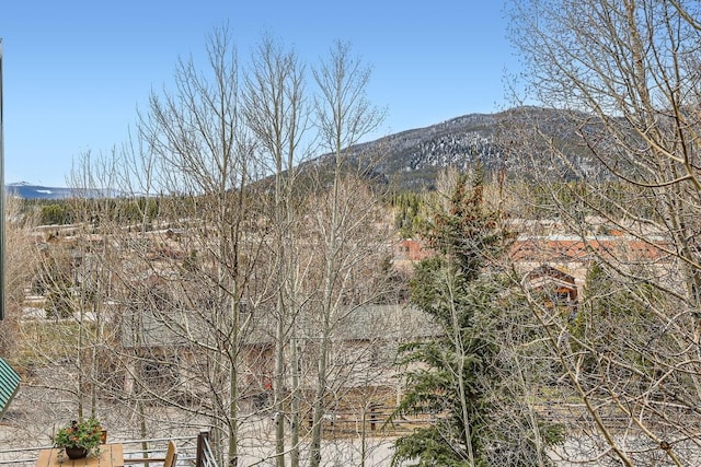 view of mountain feature