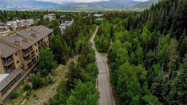 400 W Main St Unit 306, Frisco, CO 80443 - photo 12