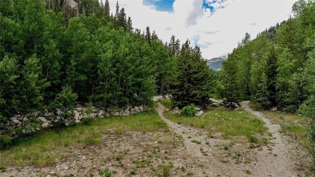 400 W Main St Unit 306, Frisco, CO 80443 - photo 34