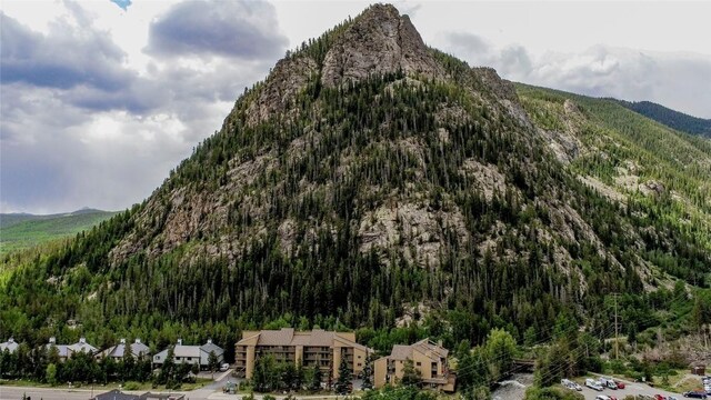 400 W Main St Unit 306, Frisco, CO 80443 - photo 32