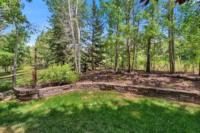302 Cherry Dr, Steamboat Springs, CO 80487 - photo 13