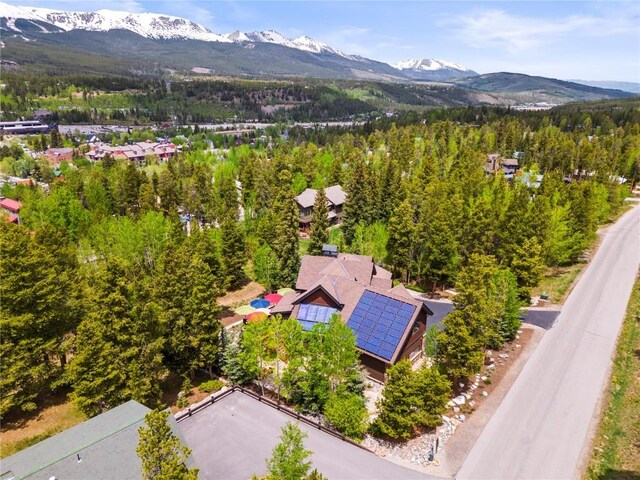 103 S Pine St, Breckenridge, CO 80424 - photo 49