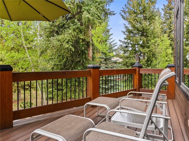 103 S Pine St, Breckenridge, CO 80424 - photo 43