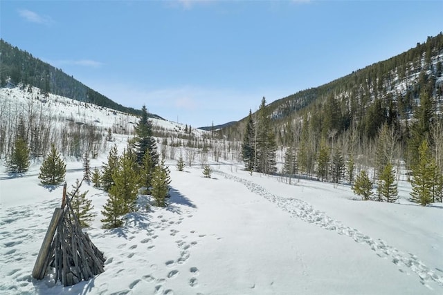 view of mountain feature featuring a view of trees