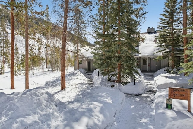 snowy yard featuring a garage