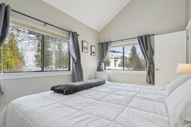 bedroom featuring multiple windows and vaulted ceiling