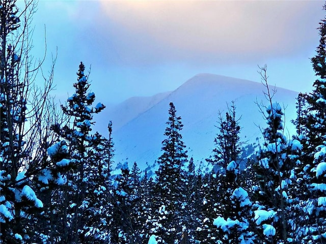 view of mountain feature