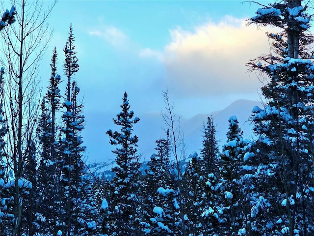 property view of mountains