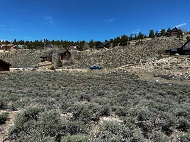 331 Mount Hope Dr, Twin Lakes, CO 81251