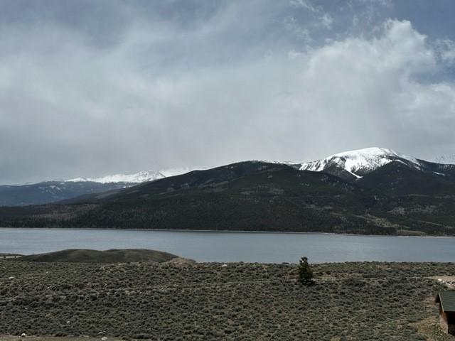 331 Mount Hope Dr, Twin Lakes, CO 81251
