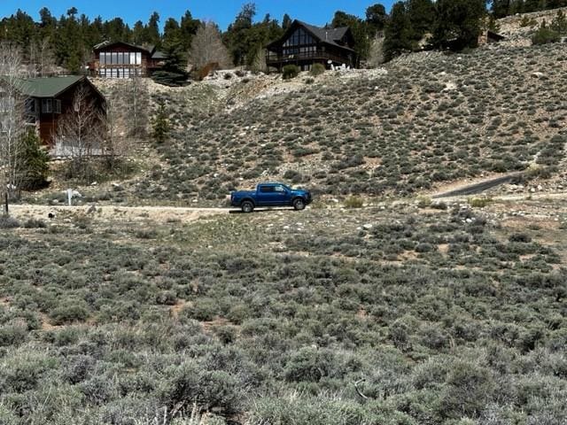 331 Mount Hope Dr, Twin Lakes, CO 81251