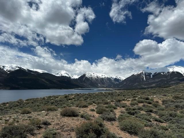 331 Mount Hope Dr, Twin Lakes, CO 81251