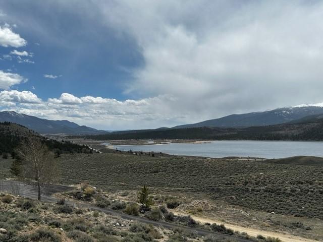 331 Mount Hope Dr, Twin Lakes, CO 81251