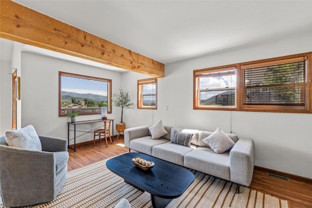 524 Buena Vista Ct, Steamboat Springs, CO 80487 - living room with wood finished floors, healthy amount of natural light, and beamed ceiling