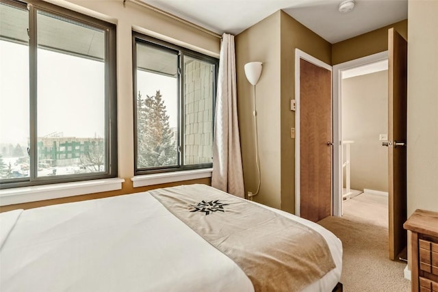 bedroom with carpet and multiple windows