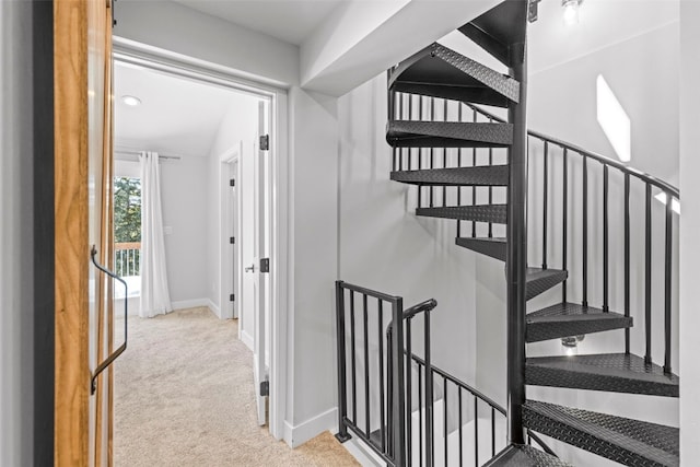 112 Illinois Gulch Rd Unit 6, Breckenridge, CO 80424 - staircase with baseboards and carpet