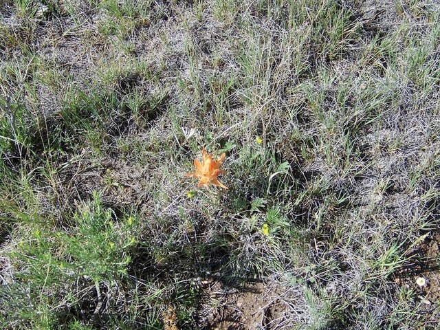 0 Michigan Hill Rd, Jefferson, CO 80456