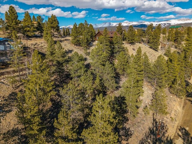 123 La Plata Peak Dr, Twin Lakes, CO 81251