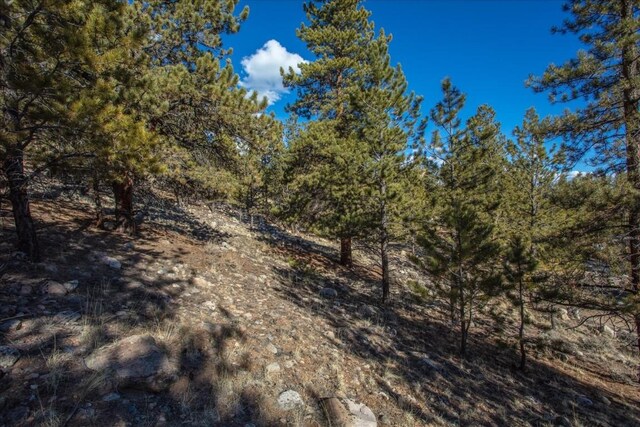 123 La Plata Peak Dr, Twin Lakes, CO 81251
