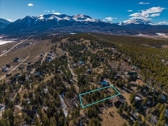 123 La Plata Peak Dr, Twin Lakes, CO 81251